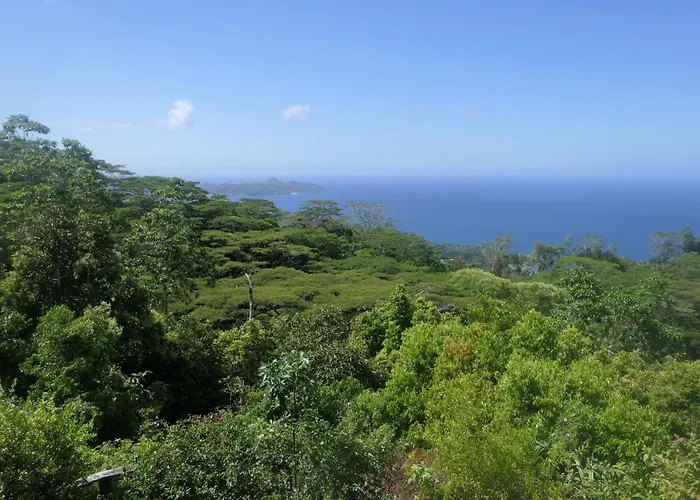 Tropical Garden Self Catering
