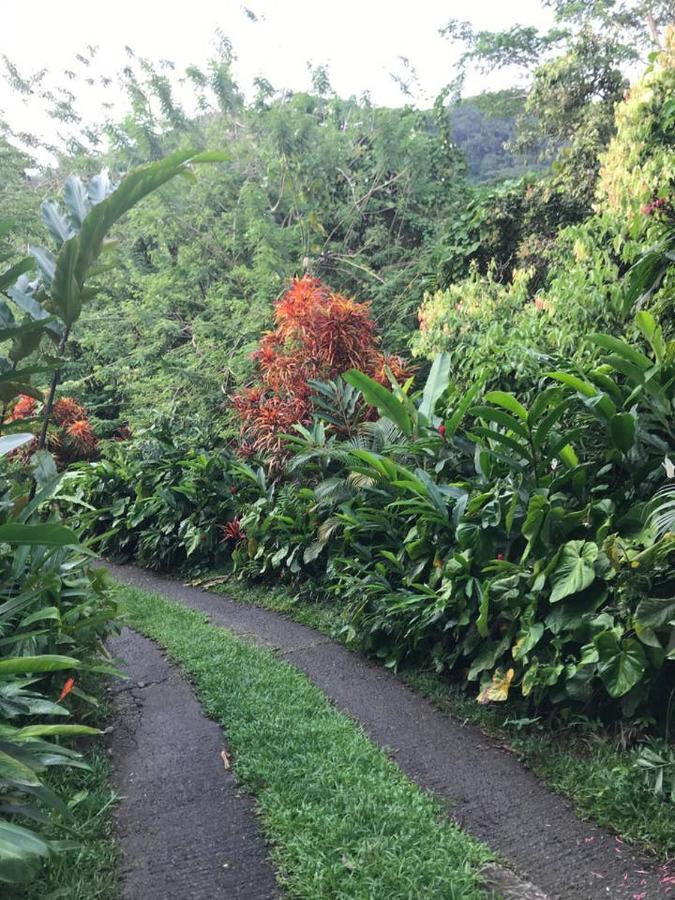 Case de vacanță Tropical Garden Self Catering