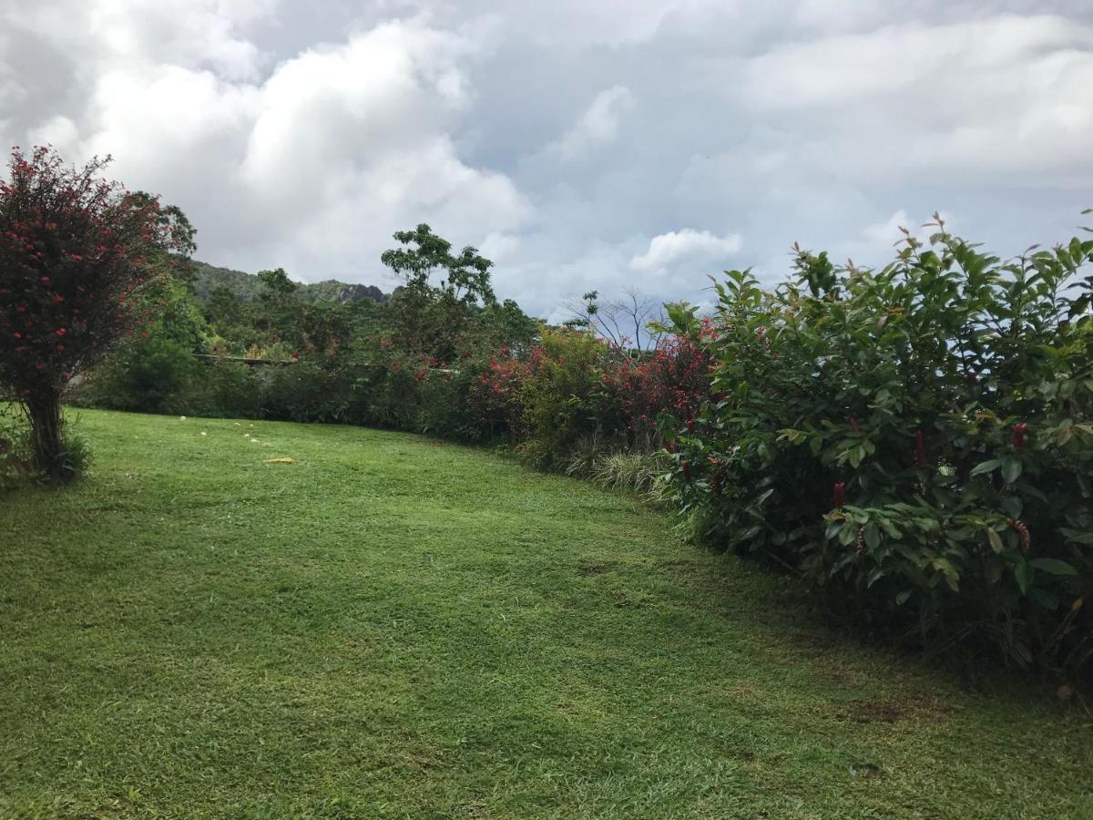 Tropical Garden Self Catering Casa vacanze