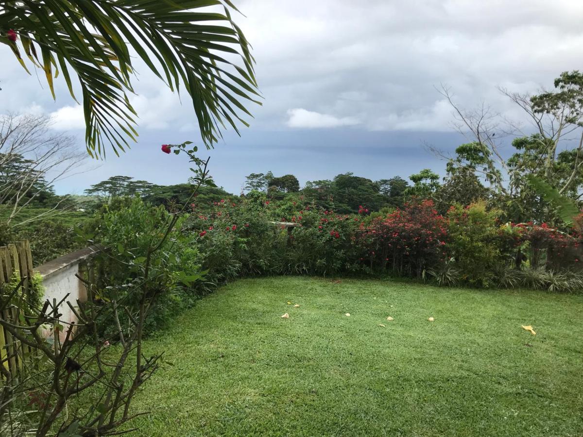 Casa vacanze Tropical Garden Self Catering