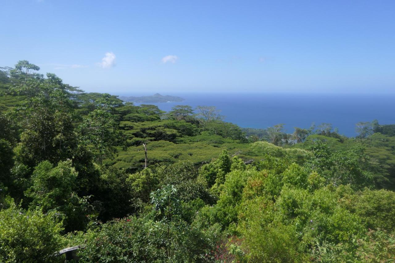 Casa vacanze Tropical Garden Self Catering *