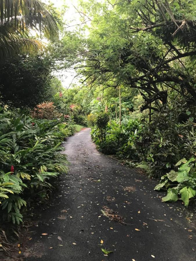 Casa vacanze Tropical Garden Self Catering