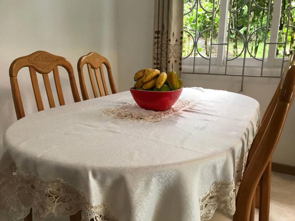 Casa vacanze Tropical Garden Self Catering *